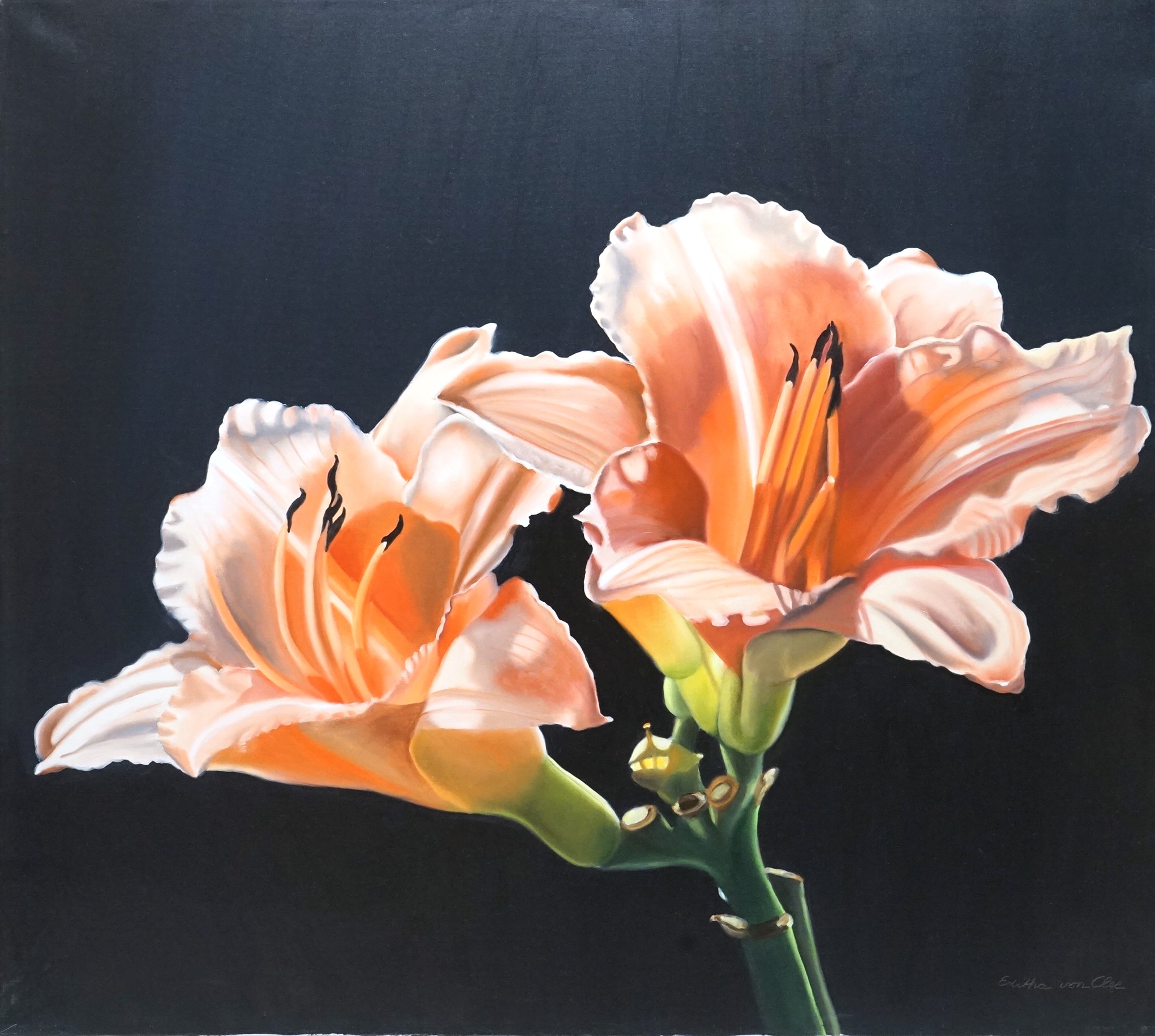 Editha von Clee (b.1940), oil on canvas, Study of flowers, signed, 80 x 89cm, unframed